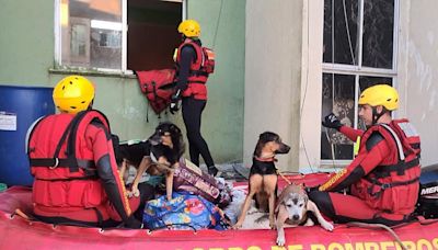 Bombeiros, Polícia Civil e PM do Paraná encerram operação no RS | TNOnline