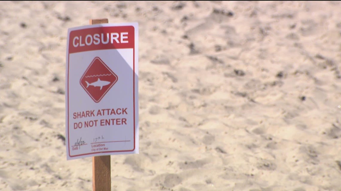 Teenager hurt after reported shark attack at popular Florida panhandle beach, deputies say