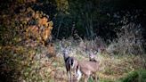 Ohio's Division of Wildlife hosts open houses for CWD education - Outdoor News