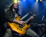 Bumblefoot