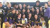 Girls volleyball: Bogota tops Delaware Valley in state final for second year in a row