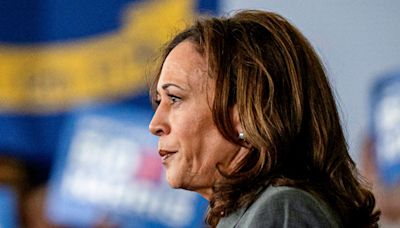 'Ludicrous': Donors leave call with Kamala Harris frustrated and annoyed