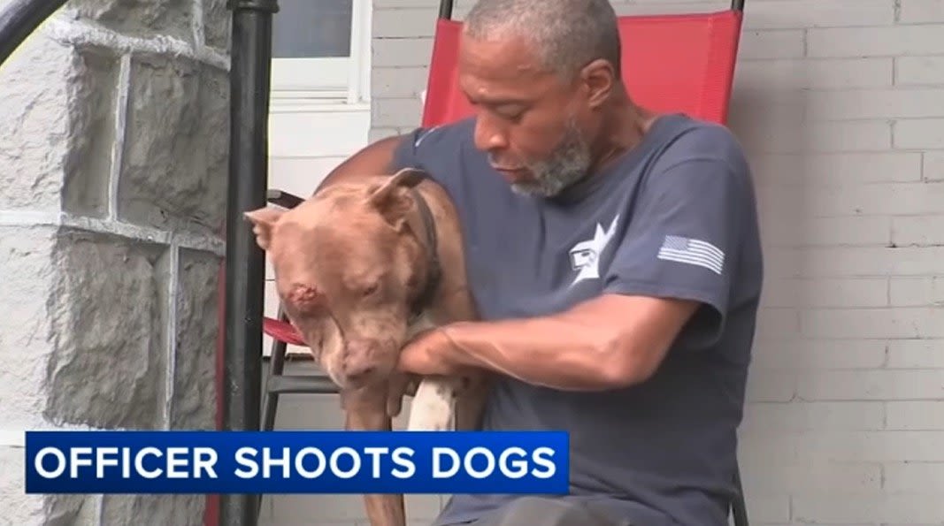 Owner mourns dog after Philadelphia police officer shoots, kills 2 pit bulls during dog fight - ABC17NEWS