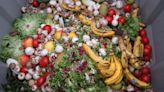 Big Companies Can Turn the Tide on Food Waste—if They Act Now!