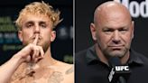 Jake Paul challenges Dana White to bet for Anderson Silva fight: ‘Stop being a b*tch’