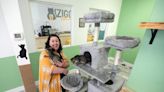 Ziggy's Cat Lounge, Kitsap County's first cat café, opens on Wheaton Way in Bremerton