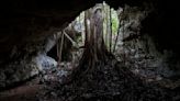 Mexico Train Threatened Caves