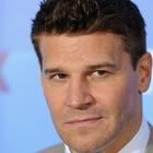 David Boreanaz