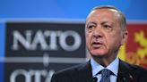 Erdogan Cautions NATO Against Being Dragged Into War in Ukraine