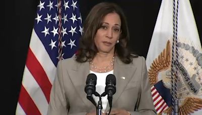 Vice President Kamala Harris in Chicago area Friday, addresses abortion ruling in Plainfield speech