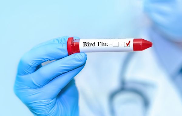 US Bird Flu Outbreak Seeing 'Sustained' Spread Between Mammals, Study Warns