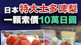 【巨型水果】日本農場種出特大士多啤梨 重165公克一顆索價10萬日圓