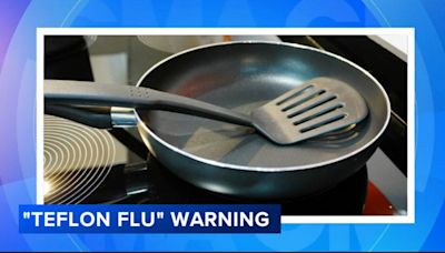 What is 'Teflon flu'? What you need to know amid a rise in cases in the US