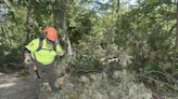 Clearing trails at Hobbs slow, dangerous work | Arkansas Democrat Gazette