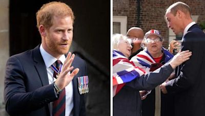 Too 'Destructive' for Royalty: If Left to Roam Free Prince Harry Would 'Bring a Fault Line...