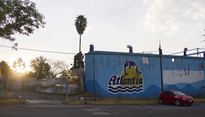 ¿Qué fue de Atlantis, el mítico delfinario de la Ciudad de México?