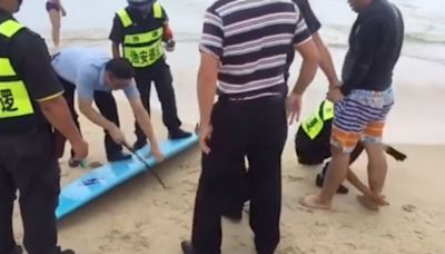 El castigo por surfear en aguas prohibidas en China: serrar la tabla