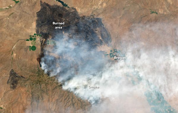 Oregon wildfire scale revealed in NASA images—"Burned over 132,000 acres"