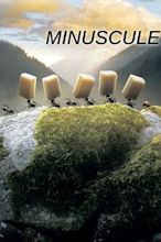 Minuscule: Valley of the Lost Ants