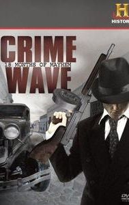 Crime Wave: 18 Months of Mayhem