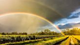 Pronóstico del clima: las temperaturas que se esperan en Cali este 26 de junio