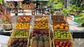 Pase el día en la naturaleza y disfrute de comida vegana en esta joya escondida en Horse Country en Miami