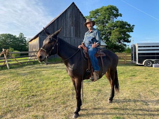 Tom Green returns to Canada, buys a farm