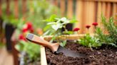 « J’applique cette astuce de jardinage de mon arrière-grand-mère depuis des années et elle ne m’a jamais fait défaut »