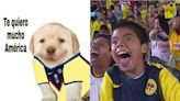 Los mejores MEMES del triunfo de América ante Querétaro | El Universal