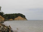 Calvert Cliffs State Park