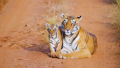 National parks best known for wildlife conservation in India