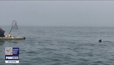 Kayakers' shark encounter at Half Moon Bay caught on video