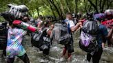 Crece tránsito de migrantes irregulares por Panamá - Noticias Prensa Latina