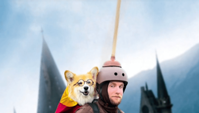 Corgi Poses for ‘Harry Potter’-Themed Photoshoot & the Results Are Priceless