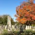 Van Liew Cemetery