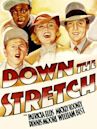 Down the Stretch (1936 film)