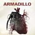 Armadillo (2010 film)