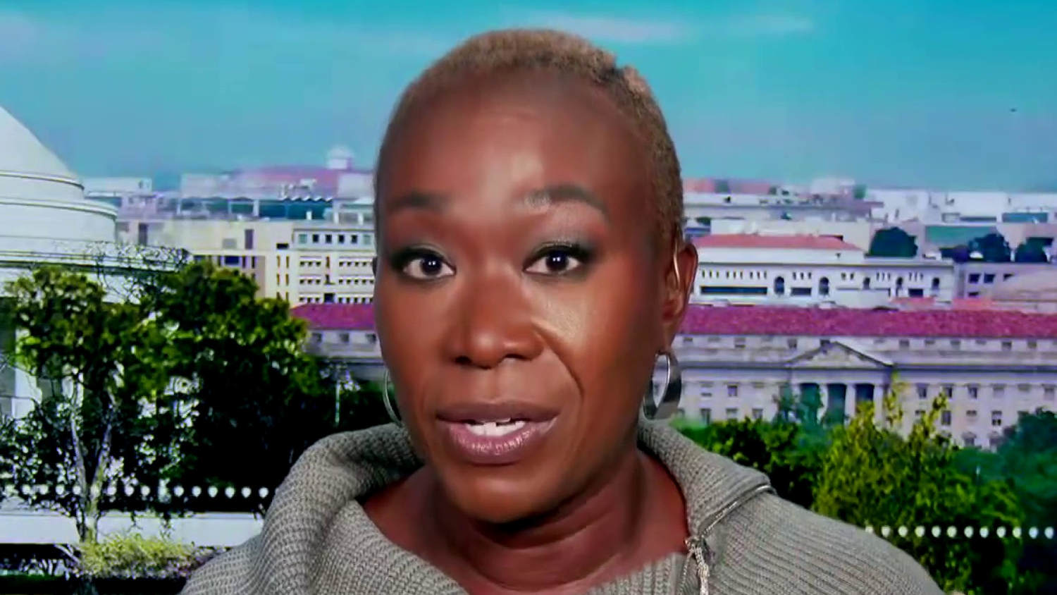 Joy Reid to Nicolle Wallace: 'Donald Trump wants to never let black and brown folk up off the mat'