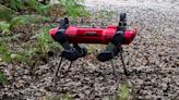 Environment patrol: These agile robots are keeping an eye on Italy’s forests