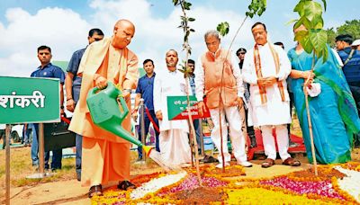 CM Yogi: Over 36 crore saplings planted across state in a day