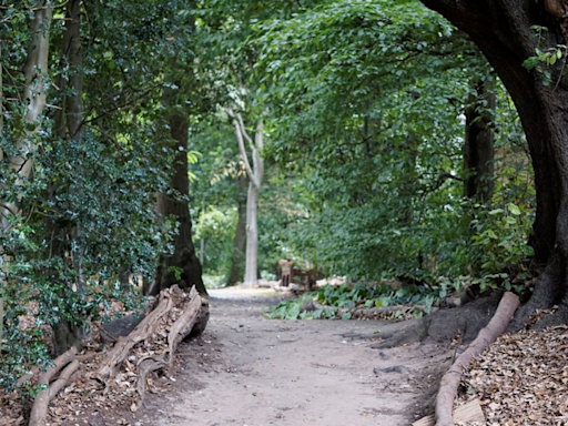 The gorgeous Essex nature reserve loved by Queens and Princesses