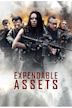 Expendable Assets