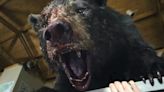 COCAINE BEAR Trailer Features Bloodthirsty Bear On Drug-Fueled Rampage