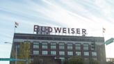 Anheuser-Busch rallies after delivering strong global performance, improvement in U.S.