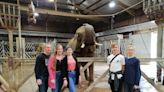 Family to visit elephants at UK zoos in memory of daughter