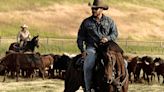 ‘Yellowstone’ Cowboy Cole Hauser Launching a Western-Inspired Coffee Company This Fall