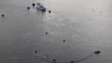 Oil leaking ferry Marco Polo freed after running aground in southern Sweden