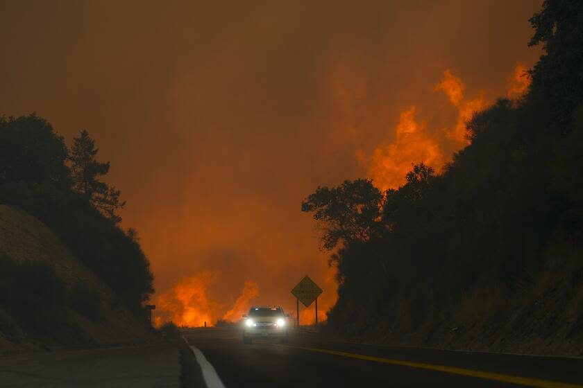 Fast-moving Line fire forces evacuations in San Bernardino mountain towns