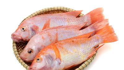 3 pescados menos recomendados según los expertos - El Diario NY