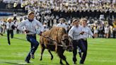 Report: Joel Klatt predicts Coach Prime and Colorado Buffaloes compete for Big 12 title